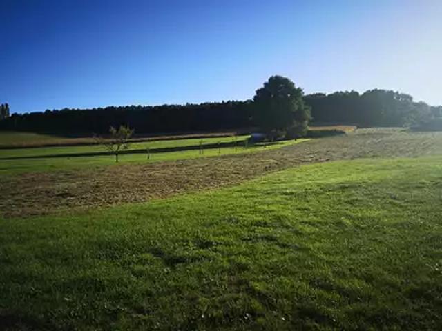 Terrain vente à Haguenau-Wissembourg, Lobsann