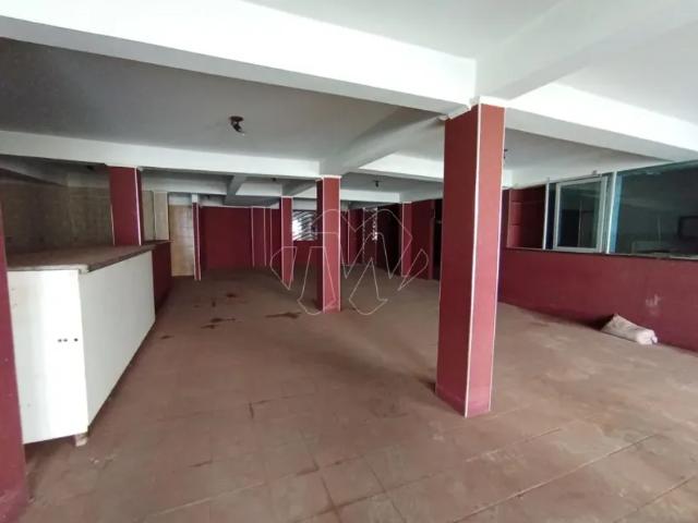 Casa aluguel em Américo Brasiliense