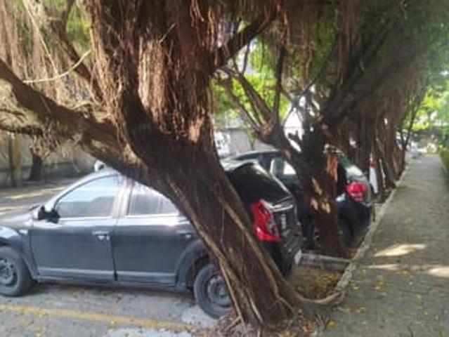 Apartamento aluguel em Região Geográfica Imediata do Recife, Região Metropolitana do Recife