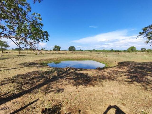 Sítio e chácara venda em Santo Antônio de Leverger, Região Geográfica Intermediária de Cuiabá