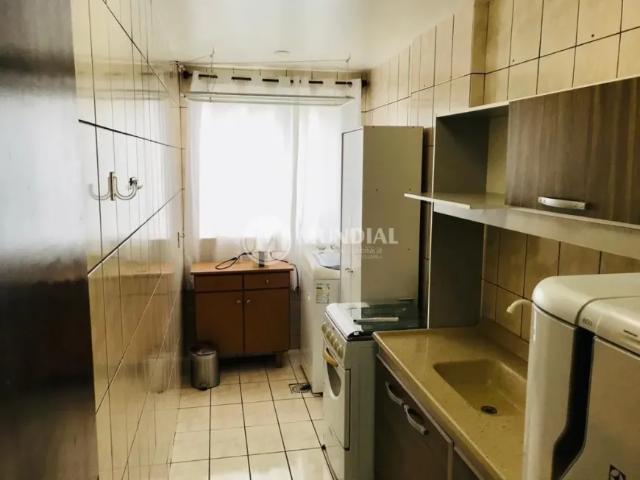 Apartamento aluguel em Região Geográfica Imediata de Itajaí, Balneario Camboriú