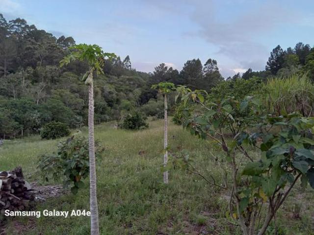 Sítio e chácara venda em Região Geográfica Imediata de Porto Alegre, Região Metropolitana de Porto Alegre
