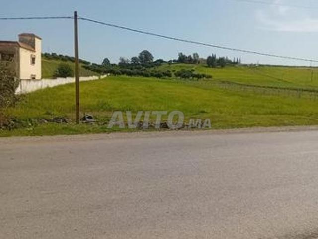 Propriété vente à Tahar Souk