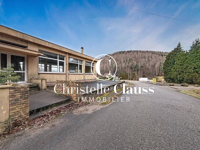 Maison vente à Sarrebourg-Château-Salins, Abreschviller
