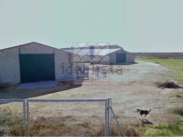 Nave en venta en Centro, Albacete