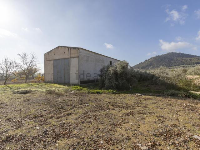 Nave en venta en La Farfana, Albolote