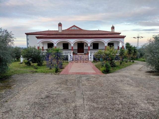 Local Comercial en venta en Aliseda, Extremadura