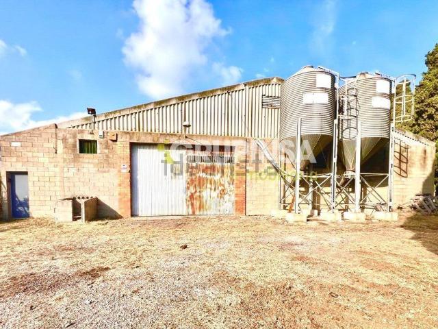 Nave en alquiler en la Plana Alta, Valencia