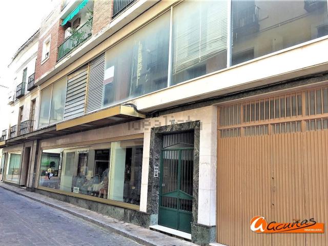 Local Comercial en venta en Antequera