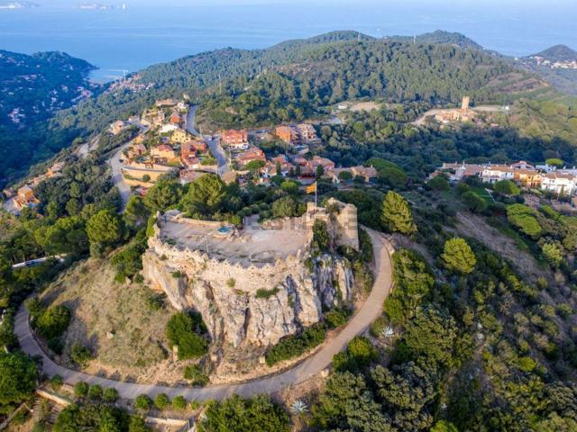 Local Comercial en venta en Baix Empordà, Catalunya