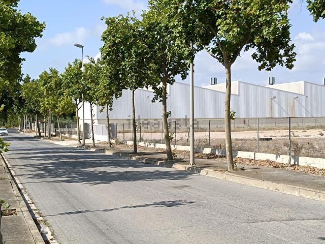 Nave en venta en Baix Ebre, Catalunya