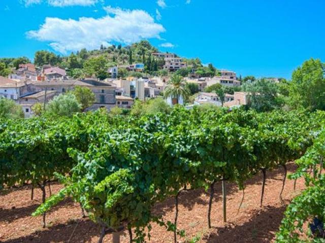 Nave en venta en Guadalteba, Andalucía