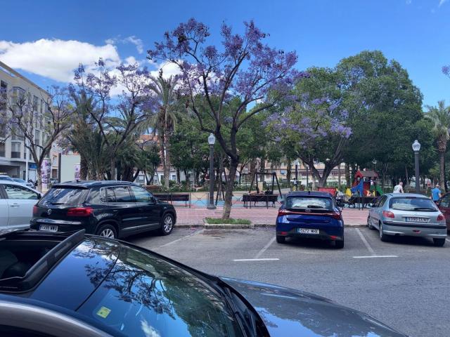 Local Comercial en venta en Carrús Oest, el Baix Vinalopó