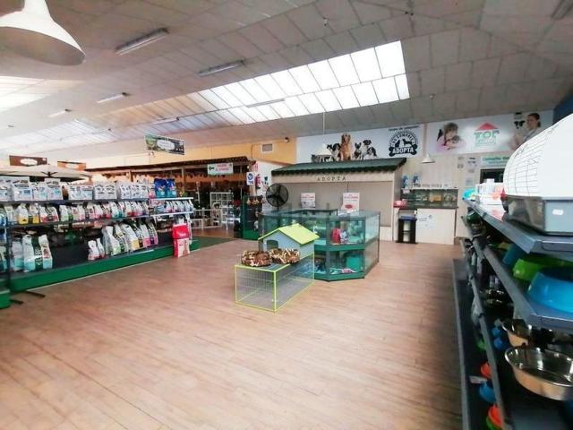 Nave en venta en Casar De Cáceres, Extremadura