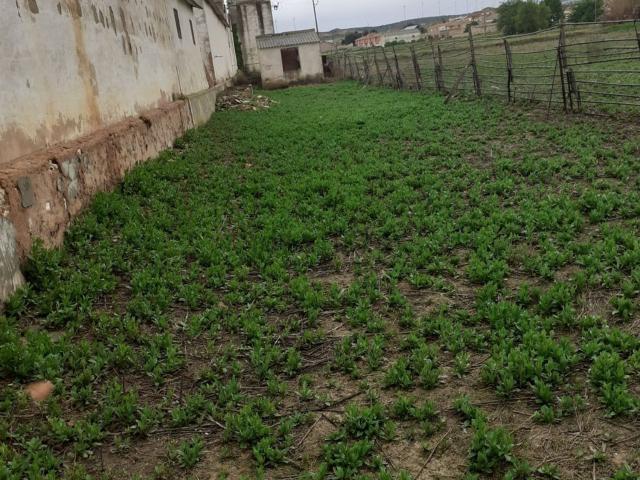 Nave en venta en Chinchilla de Montearagón, Castilla-La Mancha