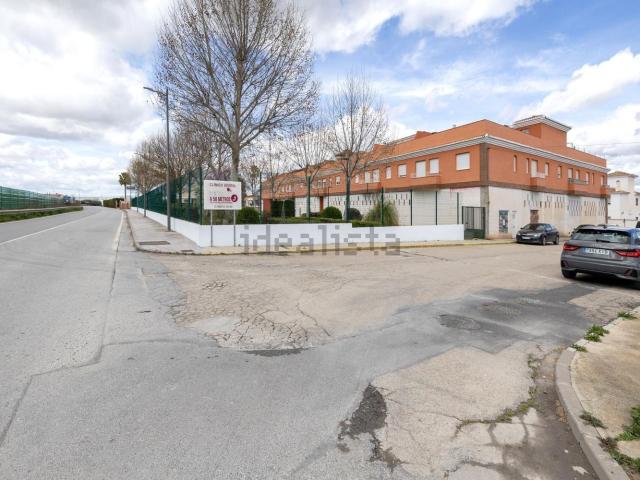 Local Comercial en venta en Cijuela