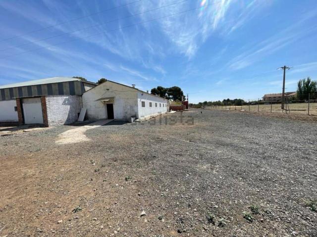 Nave en alquiler en Ciudad Real, Castilla-La Mancha