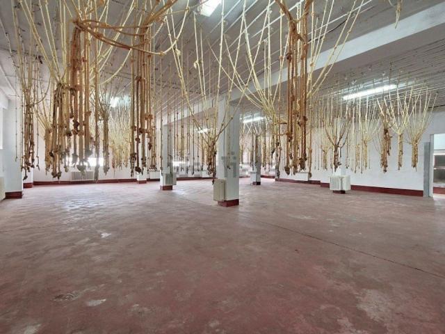 Nave en venta en Comarca de Los Montes, Andalucía