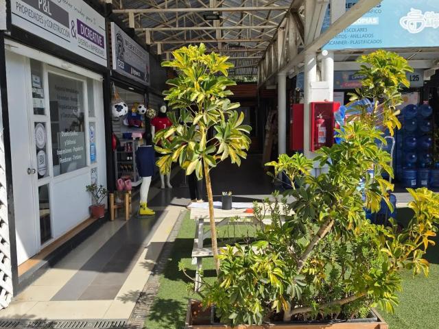Local Comercial en arriendo en Algarrobo, Valparaíso