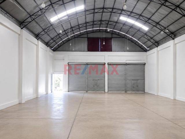 Local Comercial alquiler en Area Metropolitana de Pucallpa, Callería