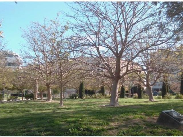 Local Comercial en alquiler en Joan Pau II / Juan Pablo II, l'Alacantí