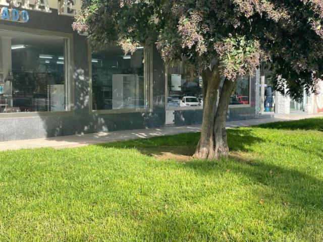 Local Comercial en alquiler en Alcorcón
