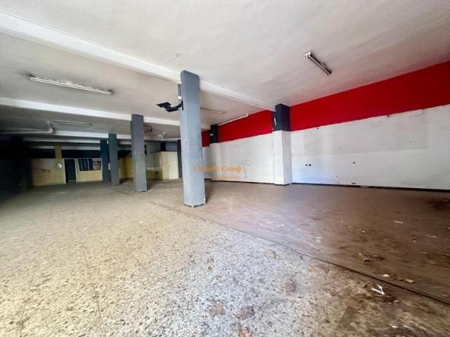 Local Comercial en alquiler en Dones de les Palmes, el Baix Vinalopó