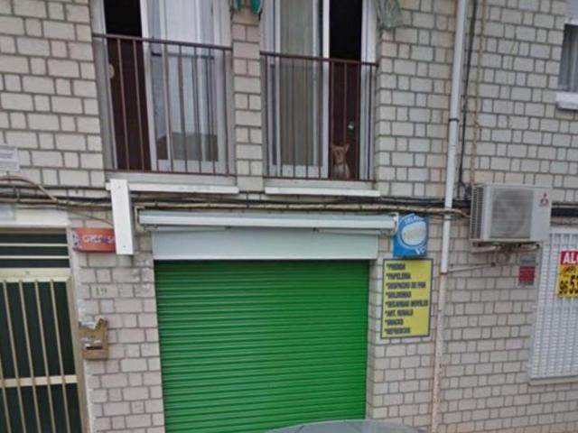 Local Comercial en alquiler en Elda, Molinos de Félix