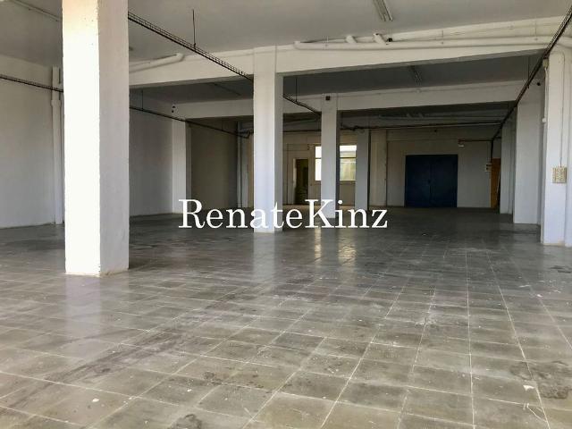 Local Comercial en alquiler en Baix Llobregat, Catalunya