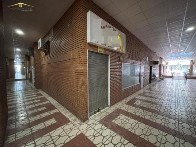 Local Comercial en alquiler en Explanada de la Estación, Málaga