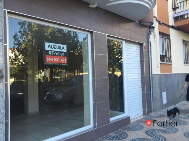 Local Comercial en alquiler en Martos