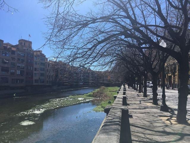 Local Comercial en alquiler en Eixample, Gironès