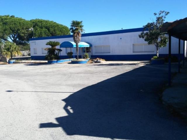 Local Comercial en alquiler en Puerto Real, Barrio de Jarana