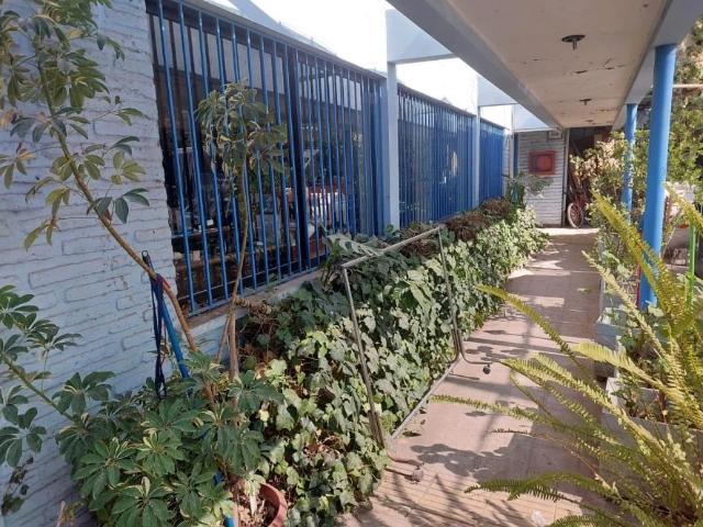 Local Comercial en Buin