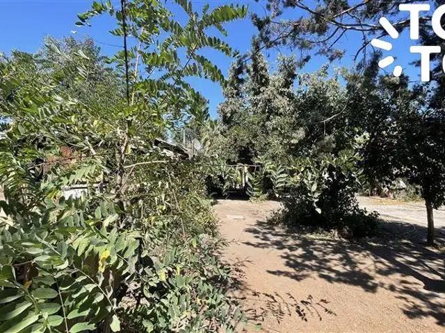 Local Comercial en Colina