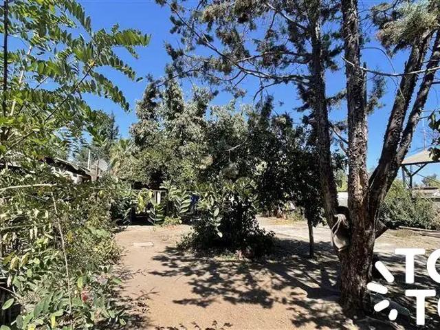 Local Comercial en Colina