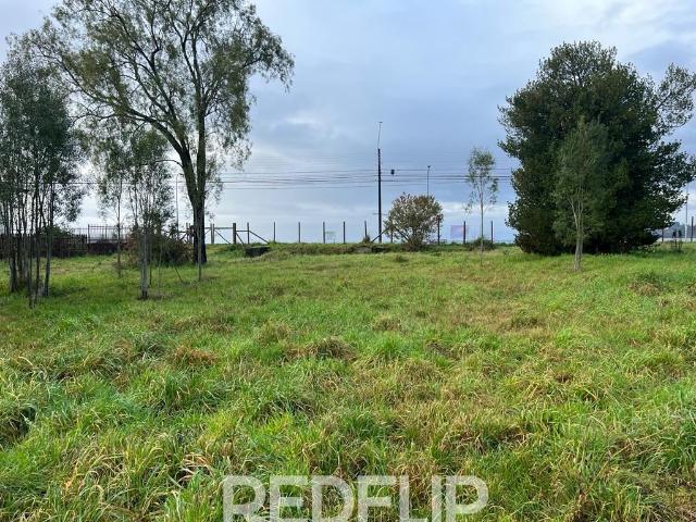 Local Comercial en Frutillar