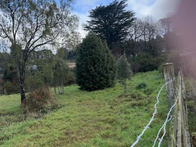 Local Comercial en Frutillar