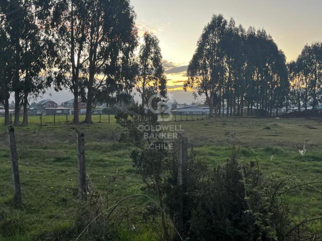 Local Comercial en Frutillar