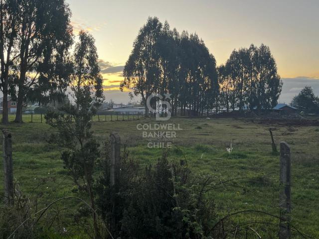 Local Comercial en Frutillar