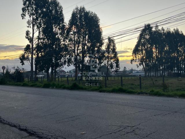 Local Comercial en Frutillar