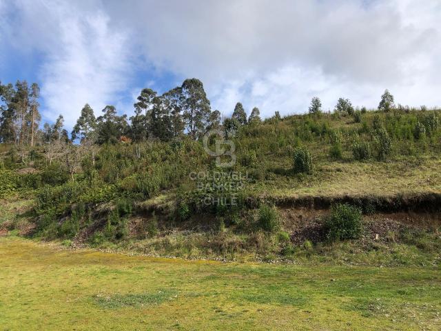 Local Comercial en Frutillar