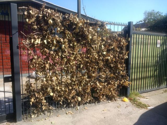 Local Comercial en La Cisterna