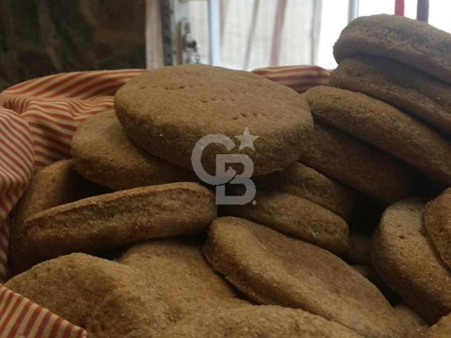 Local Comercial en La Ligua