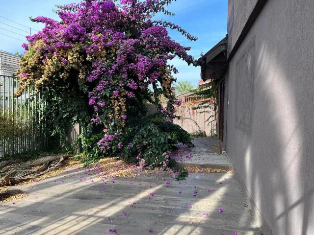 Local Comercial en La Reina