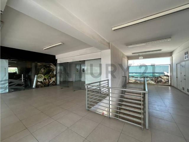 Local Comercial en La Reina