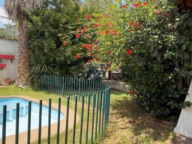 Local Comercial en La Reina