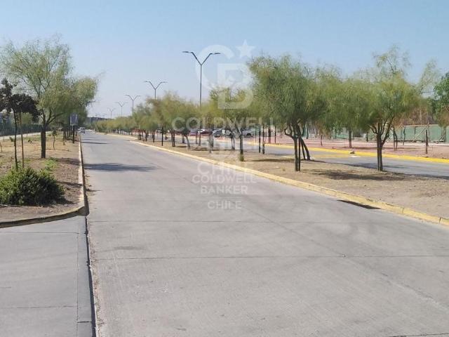 Local Comercial en Lampa