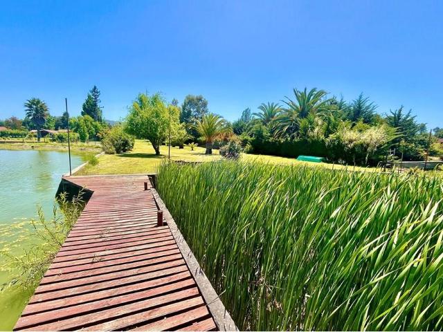 Local Comercial en Las Cabras