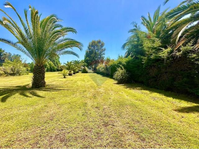 Local Comercial en Las Cabras